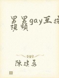 男男gay互操视频