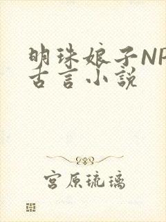明珠娘子NPC古言小说
