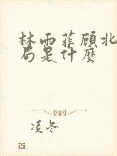 林雨菲顾北潇结局是什么封面