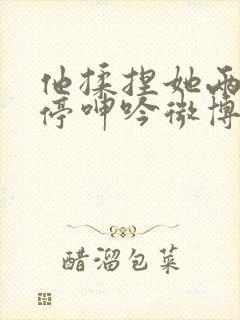 他揉捏她两乳不停呻吟微博