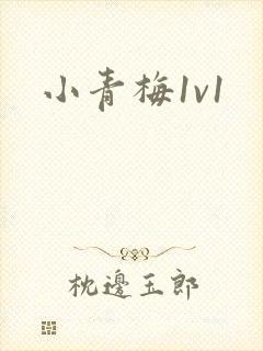 小青梅1v1封面