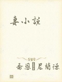 妻小说