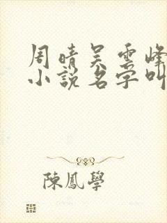 周晴吴云峰李磊小说名字叫什么封面