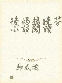 后妈杨晓芬王磊小说阅读封面