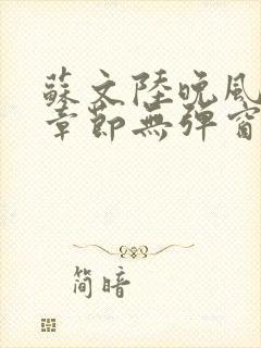 苏文陆晚风最新章节无弹窗笔趣阁