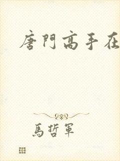 唐门高手在异世封面