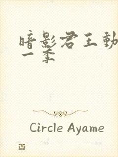 暗影君王动漫第一季