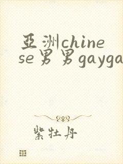 亚洲chinese男男gaygay网站