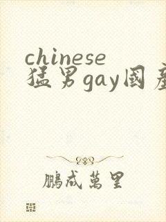 chinese猛男gay国产封面