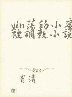 yin荡的小蜜被调教小说封面
