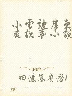 小雪被房东的好爽故事小说封面