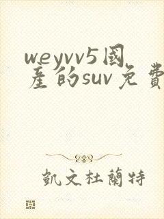 weyvv5国产的suv免费