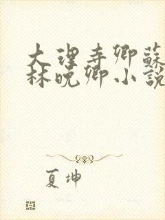 大理寺卿苏陌忆林晚卿小说笔趣阁