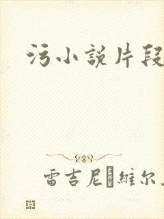 污小说片段封面