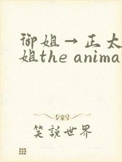 御姐→正太←御姐the animation封面