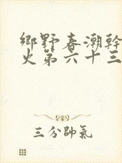 乡野春潮干柴烈火第六十三章