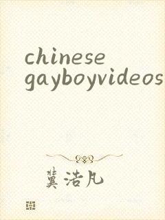 chinesegayboyvideos