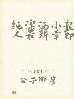 纯洁滴小龙捞尸人最新章节更新