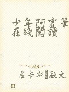 少年阿宾笔趣阁在线阅读封面