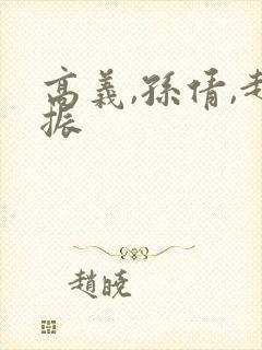 高义,孙倩,赵振