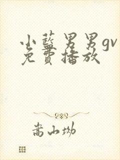 小蓝男男gv片免费播放