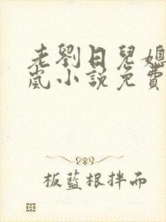 老刘日儿媳妇张岚小说免费阅读