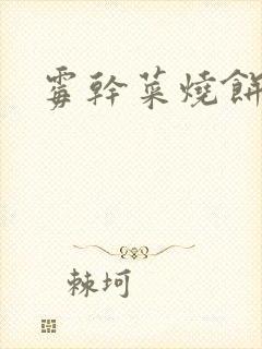 霉干菜烧饼封面