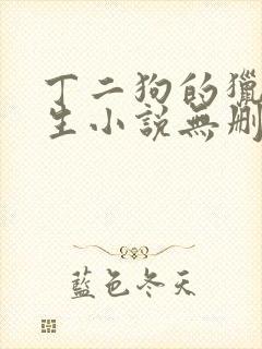 丁二狗的猎艳人生小说无删减小说