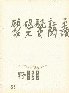 顾砚骁许柔汐小说免费阅读最新章节封面