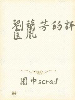 刘兰芳的评书赵匡胤