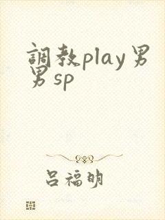 调教play男男sp
