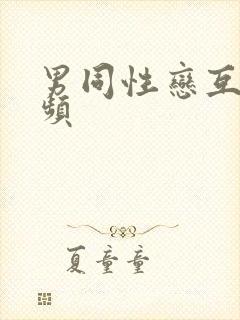 男同性恋互舔视频封面