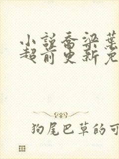 小说乔梁叶心仪超前更新免费阅读