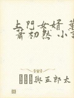 上门女婿 叶辰 萧初然 小说封面