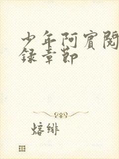 少年阿宾阅读目录章节