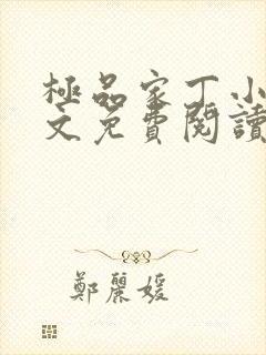 极品家丁小说全文免费阅读