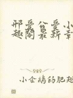 邢爱公爱小说笔趣阁最新章节更新封面