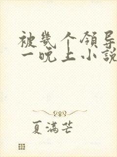 被几个领导玩弄一晚上小说封面