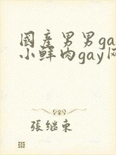 国产男男gay小鲜肉gay网站亚洲