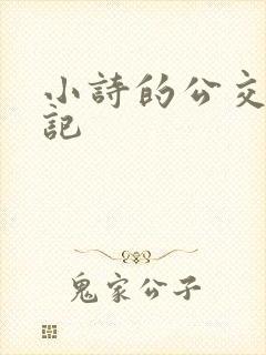 小诗的公交车日记