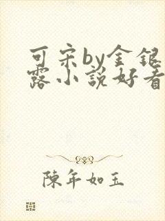 可宋by金银花露小说好看吗