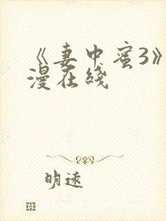 《妻中蜜3》动漫在线