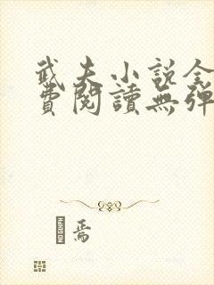 武夫小说全文免费阅读无弹窗封面