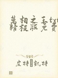 万相之王txt精校版免费阅读