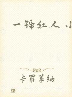 一号红人 小说