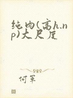 纯肉(高h.np)大尺度