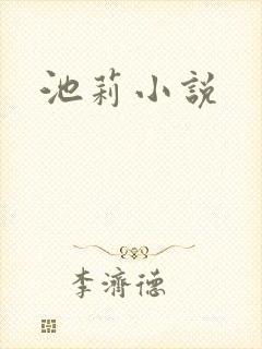 池莉小说