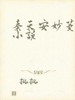 秦天安妙菱修仙小说封面