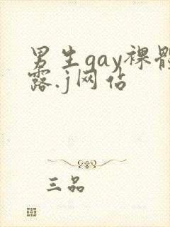 男生gay裸体露.j网站