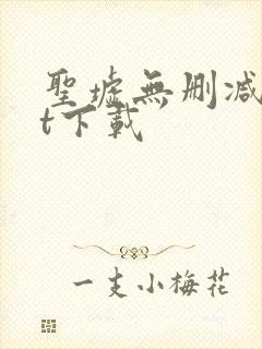 圣墟无删减txt下载封面